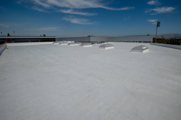 Best Skylight Installation and Repair  in West View, PA