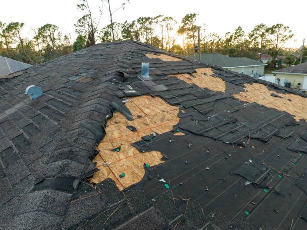 Professional Roofing Service in West View, PA